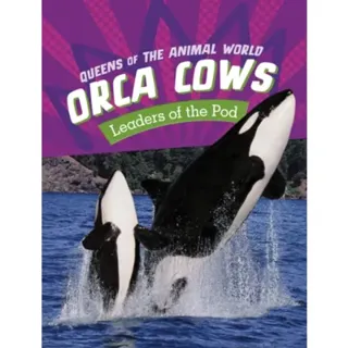Orca Cows