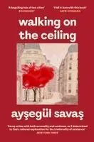 Walking on the Ceiling