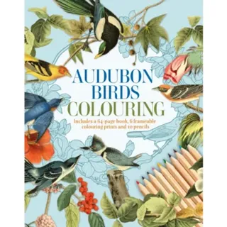 Audubon Birds Colouring Kit