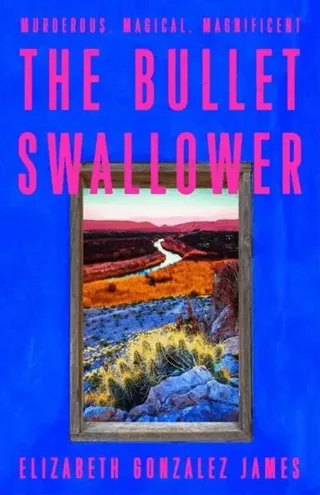 Bullet Swallower