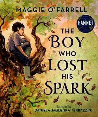 The Boy Who Lost His Spark