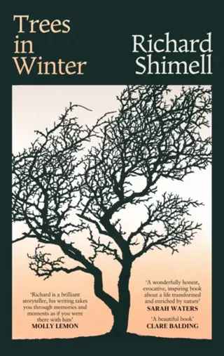 Trees in Winter
