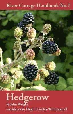 Hedgerow