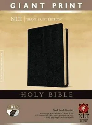 NLT Holy Bible, Giant Print, Black, Indexed