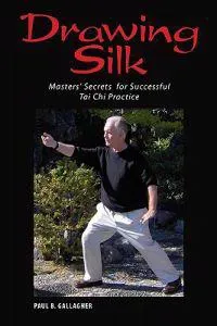 Drawing Silk