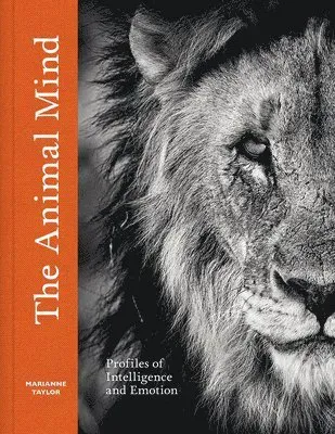 The Animal Mind