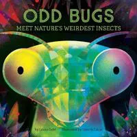 Odd Bugs (A Curious Critters Board Book)