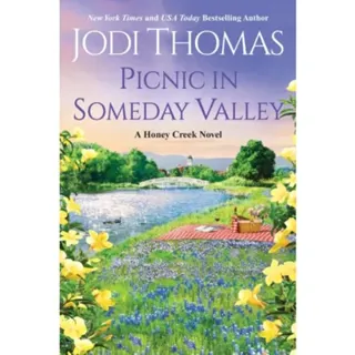 Picnic in Someday Valley
