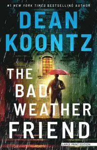 The Bad Weather Friend