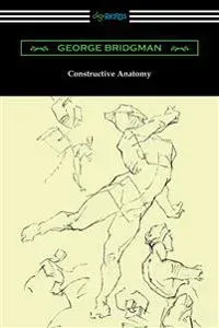 Constructive Anatomy