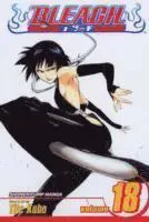 Bleach, Vol. 18