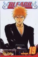 Bleach, Vol. 19
