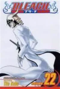 Bleach, Vol. 22
