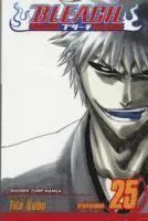 Bleach, Vol. 25