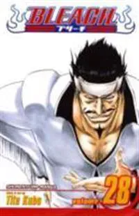 Bleach, Vol. 28