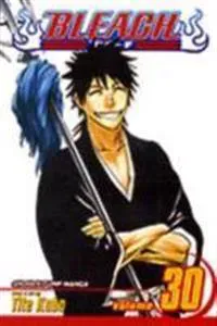 Bleach, Vol. 30