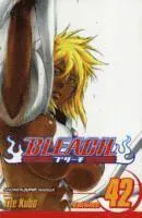 Bleach, Vol. 42