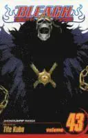 Bleach, Vol. 43