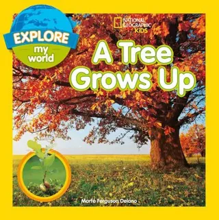 Tree Grows Up