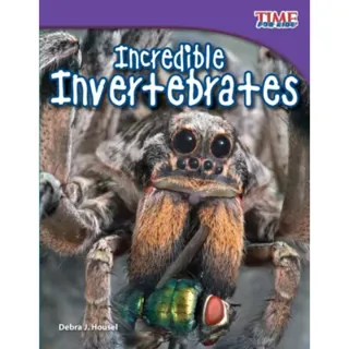 Incredible Invertebrates