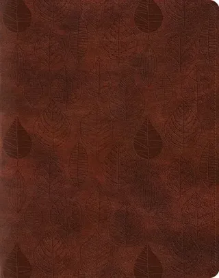 ESV Single Column Journaling Bible