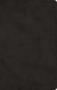 ESV Men's Devotional Bible