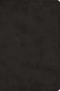 ESV Large Print Bible