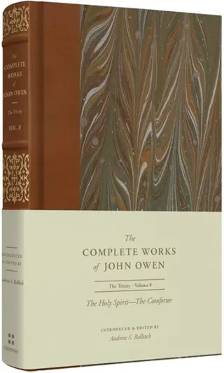 Holy Spirit-The Comforter (Volume 8)