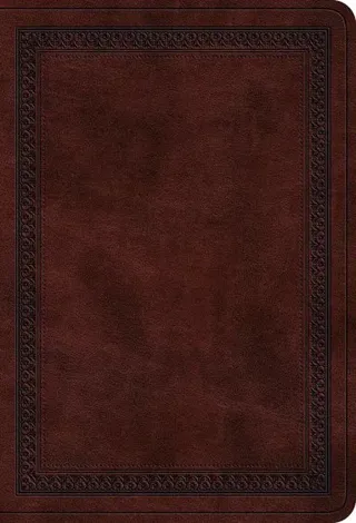 ESV Value Large Print Compact Bible