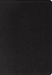 ESV Large Print Wide Margin Bible