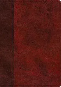 ESV Study Bible