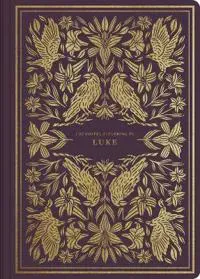 ESV Illuminated Scripture Journal