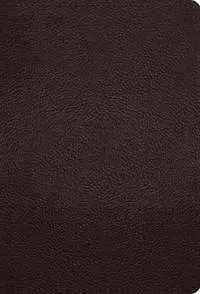 ESV Large Print Compact Bible, Red Letter