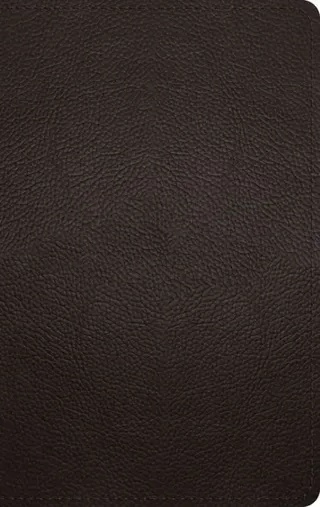 ESV Large Print Personal Size Bible, Red Letter
