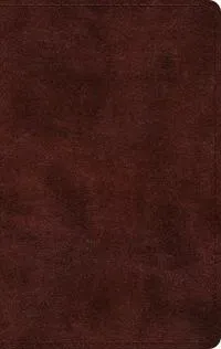 ESV Large Print Thinline Bible