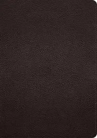 ESV Study Bible