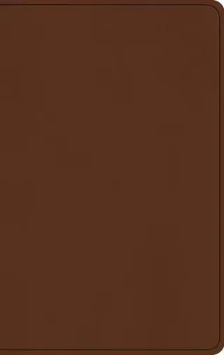 ESV Large Print Value Thinline Bible