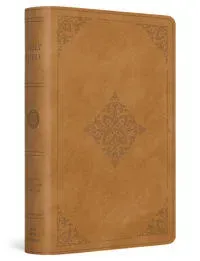 ESV Large Print Bible