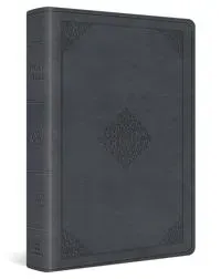 ESV Large Print Wide Margin Bible