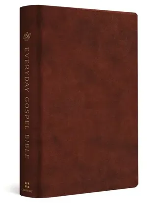 ESV Everyday Gospel Bible