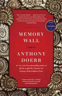 Memory Wall: Stories