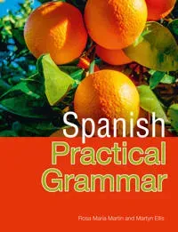 Pasos Spanish Practical Grammar