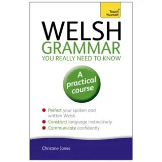 Welsh grammar you really need to know: teach yourself