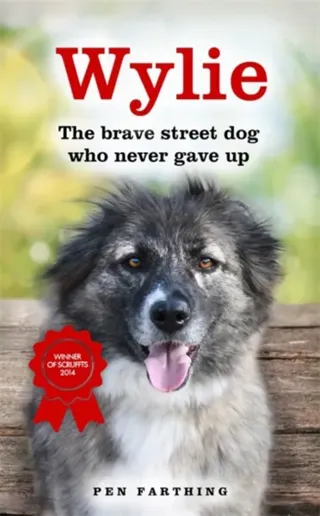 Wylie - the brave street dog who never gave up