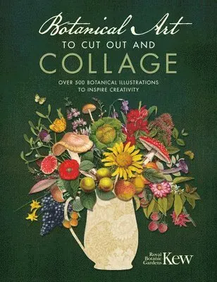 Botanical Art to Cut out and Collage