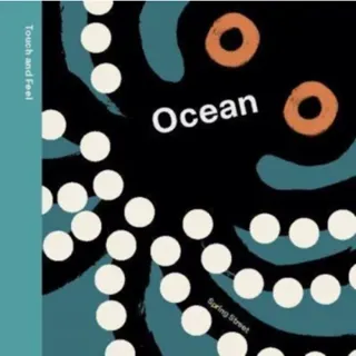 Spring Street Touch and Feel: Ocean