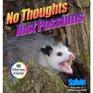 No Thoughts Just Possums
