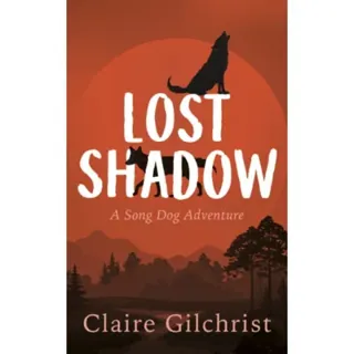 Lost Shadow