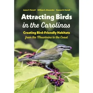 Attracting Birds in the Carolinas