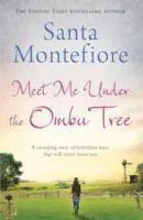 Meet me under the ombu tree